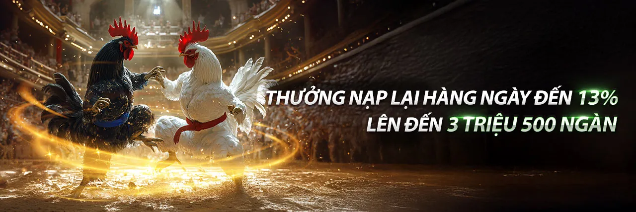 Đá Gà 123B - Sảnh đá gà trực tuyến đỉnh cao